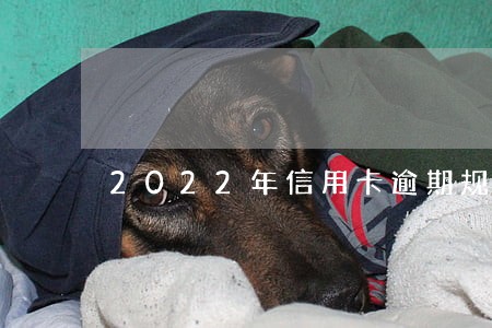 2022年信用卡逾期规定 2022年信用卡逾期规定