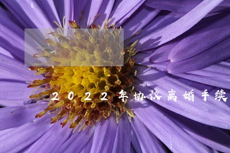 2022年协议离婚手续 2022年协议离婚手续