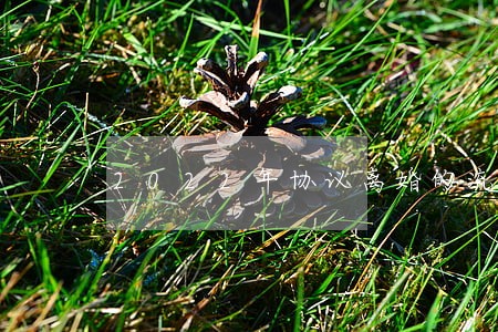 2022年协议离婚的流程 2022年协议离婚的流程