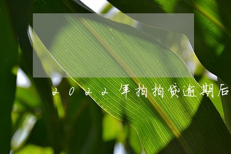 2022年拍拍贷逾期后 2022年拍拍贷逾期后