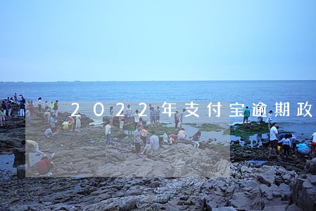 2022年支付宝逾期政策 2022年支付宝逾期政策