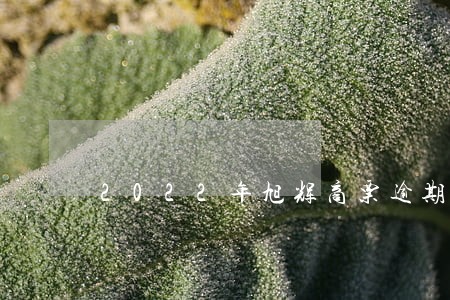 2022年旭辉商票逾期支付 2022年旭辉商票逾期支付