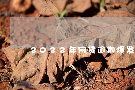 2022年网贷逾期爆发人数