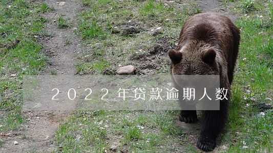 2022年贷款逾期人数 2022年贷款逾期人数