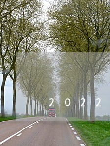 2022年金条逾期 2022年金条逾期