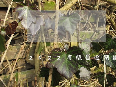 2022有短暂逾期能下款的平台 2022有短暂逾期能下款的平台