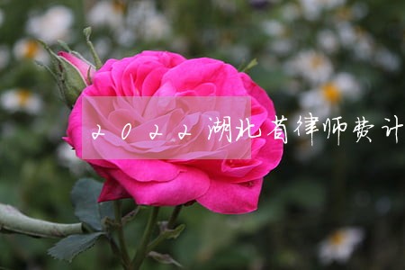 2022湖北省律师费计算器 2022湖北省律师费计算器