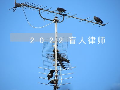 2022盲人律师 2022盲人律师