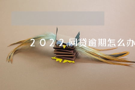 2022网贷逾期怎么办 2022网贷逾期怎么办