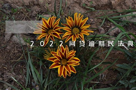 2022网贷逾期民法典 2022网贷逾期民法典