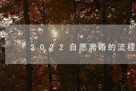2022自愿离婚的流程 2022自愿离婚的流程