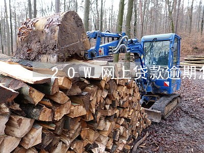 20W网上贷款逾期怎么办 20W网上贷款逾期怎么办