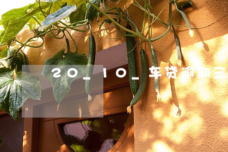 20_10_车贷逾期三年了 20_10_车贷逾期三年了