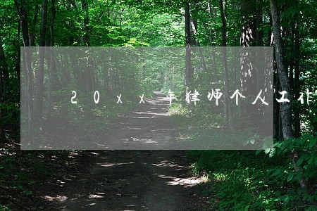 20xx年律师个人工作总结报告 20xx年律师个人工作总结报告