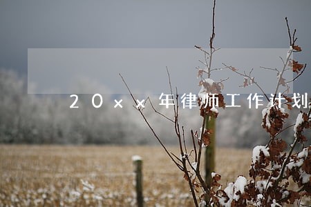 20xx年律师工作计划正式版 20xx年律师工作计划正式版