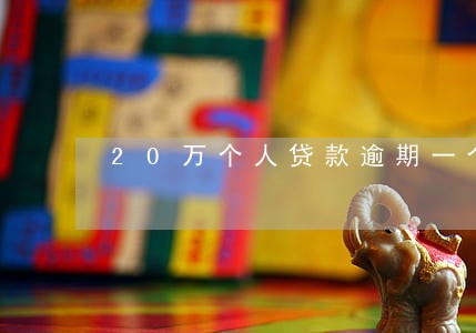 20万个人贷款逾期一个月征信 20万个人贷款逾期一个月征信