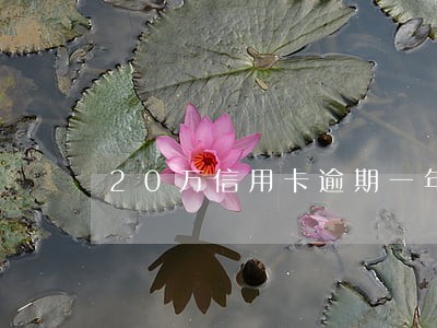 20万信用卡逾期一年 20万信用卡逾期一年