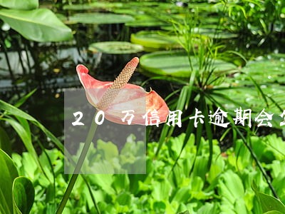 20万信用卡逾期会坐牢吗