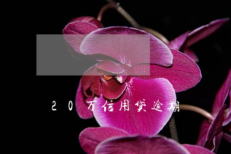 20万信用贷逾期 20万信用贷逾期
