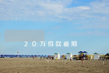 20万借款逾期 20万借款逾期
