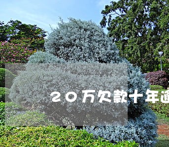 20万欠款十年逾期多少