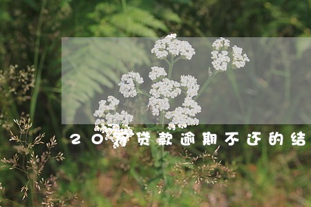 20万贷款逾期不还的结果 20万贷款逾期不还的结果