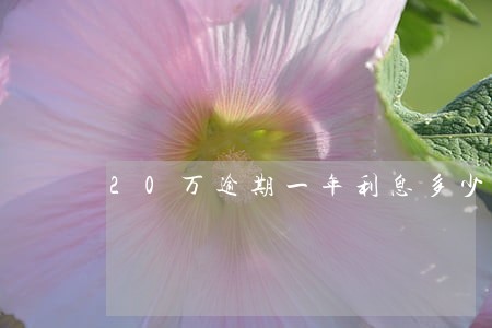 20万逾期一年利息多少钱 20万逾期一年利息多少钱