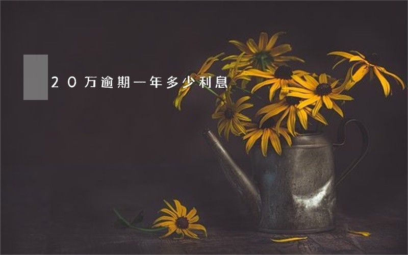 20万逾期一年多少利息 20万逾期一年多少利息
