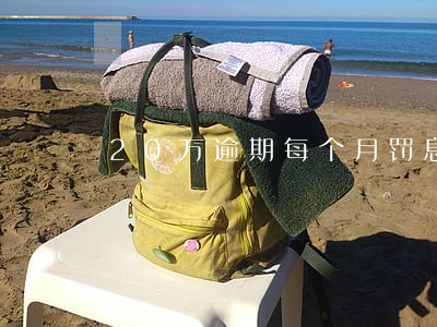 20万逾期每个月罚息多少 20万逾期每个月罚息多少
