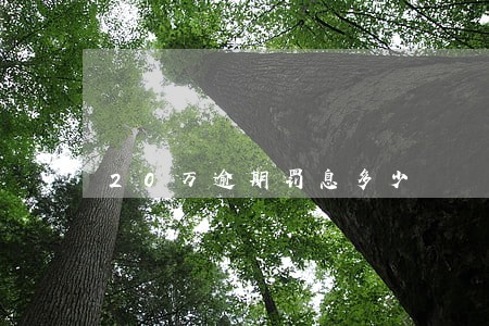 20万逾期罚息多少 20万逾期罚息多少
