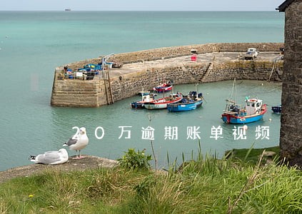 20万逾期账单视频 20万逾期账单视频