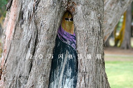 20万闪电贷逾期 20万闪电贷逾期