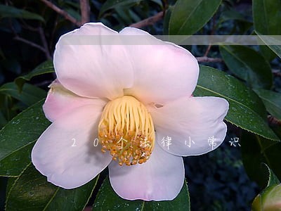 20个法律小常识 20个法律小常识