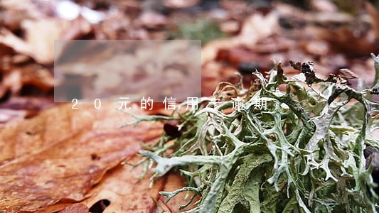 20元的信用卡逾期 20元的信用卡逾期