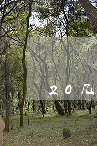 20几个平台逾期了还能借吗
