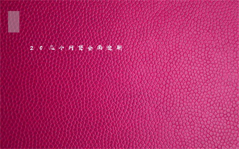 20几个网贷全面逾期