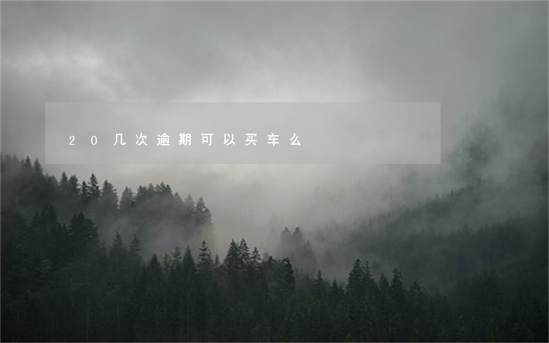 20几次逾期可以买车么