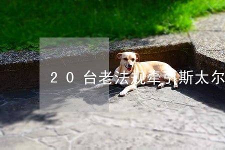 20台老法规牵引斯太尔 20台老法规牵引斯太尔