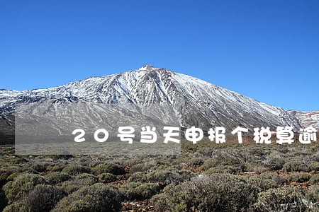 20号当天申报个税算逾期吗 20号当天申报个税算逾期吗
