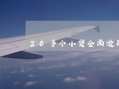20多个小贷全面逾期一年 20多个小贷全面逾期一年