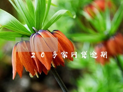 20多家网贷逾期 20多家网贷逾期
