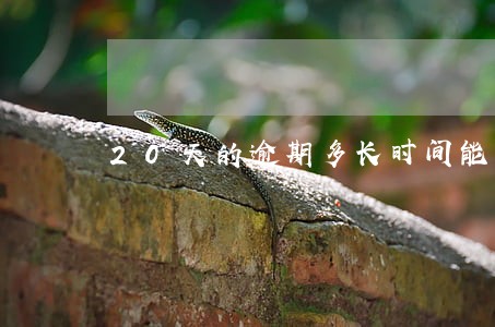 20天的逾期多长时间能清除 20天的逾期多长时间能清除