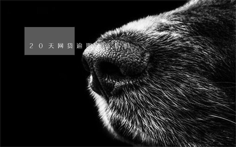 20天网贷逾期上征信吗 20天网贷逾期上征信吗