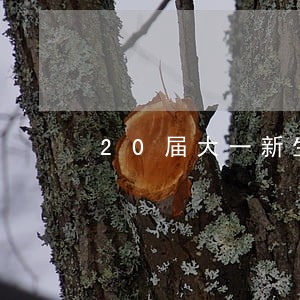 20届大一新生逾期缴费 20届大一新生逾期缴费