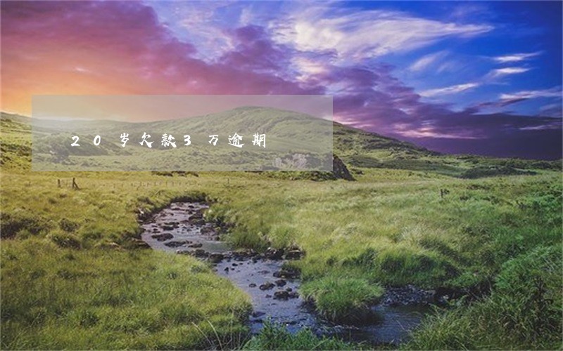 20岁欠款3万逾期