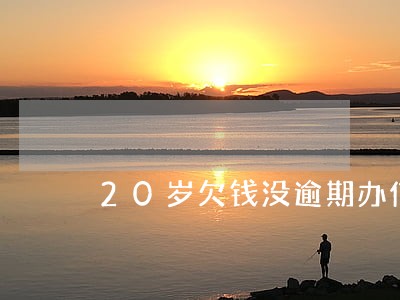 20岁欠钱没逾期办信用卡 20岁欠钱没逾期办信用卡