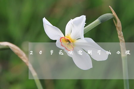 20岁花呗逾期可以办理信用卡吗