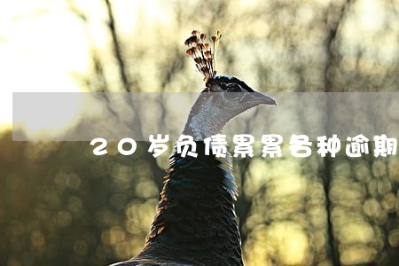 20岁负债累累各种逾期走投无路 20岁负债累累各种逾期走投无路