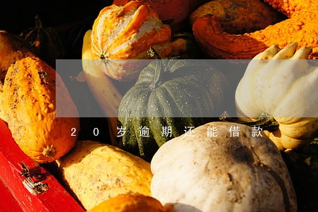 20岁逾期还能借款