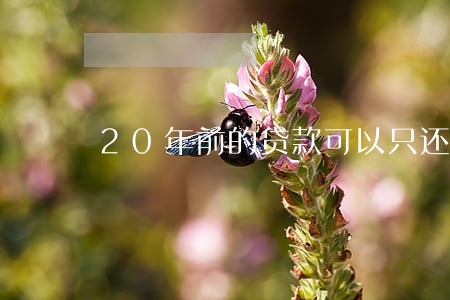 20年前的贷款可以只还本金吗 20年前的贷款可以只还本金吗